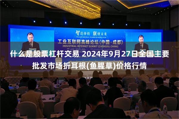 什么是股票杠杆交易 2024年9月27日全国主要批发市场折耳根(鱼腥草)价格行情