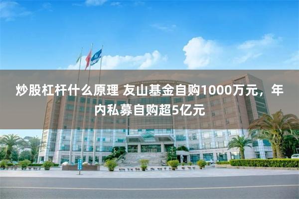 炒股杠杆什么原理 友山基金自购1000万元，年内私募自购超5亿元