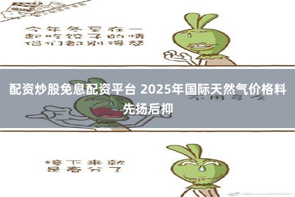 配资炒股免息配资平台 2025年国际天然气价格料先扬后抑