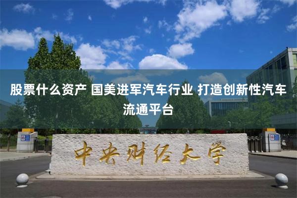 股票什么资产 国美进军汽车行业 打造创新性汽车流通平台